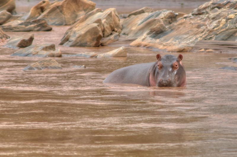 kenya_2012_KEN_1744_hdr